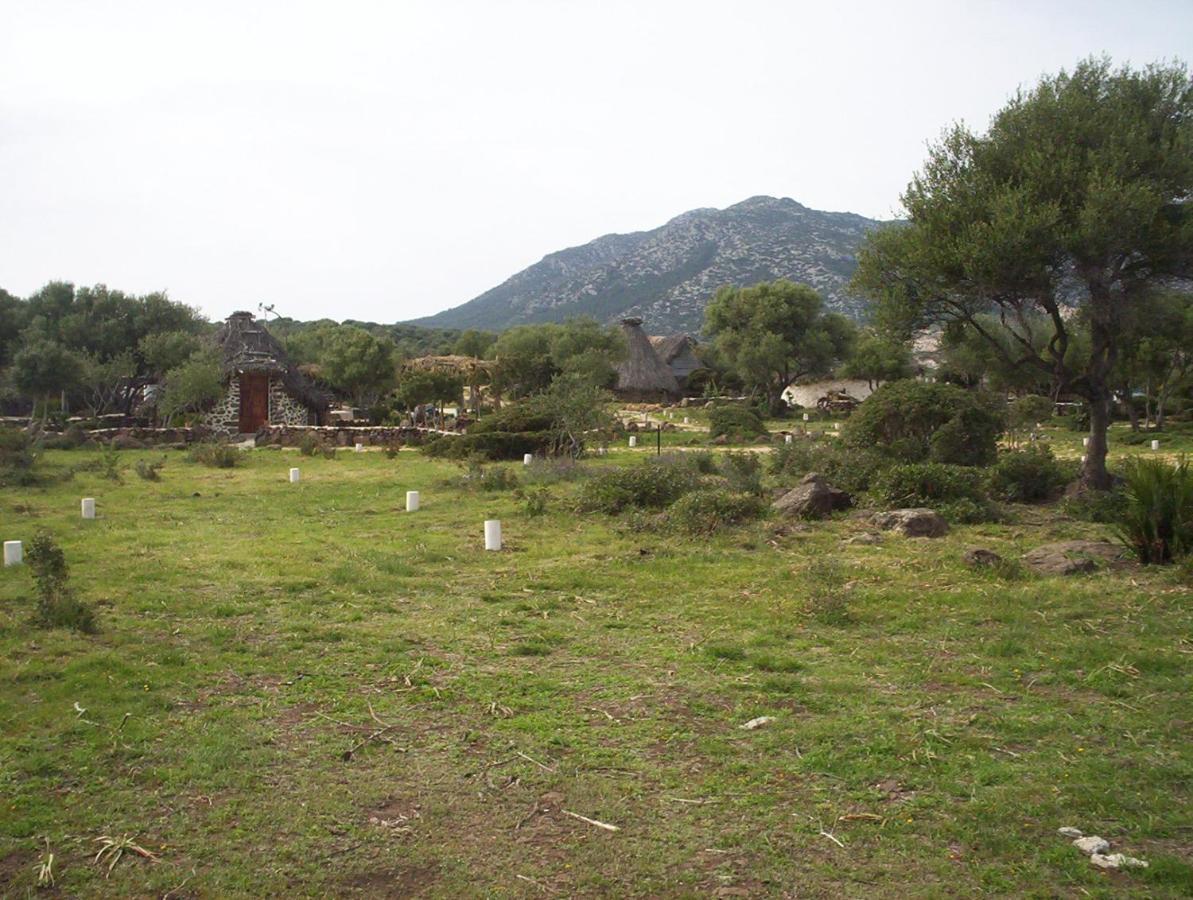 Ovile Juanne Loddo โอโรเซย ภายนอก รูปภาพ