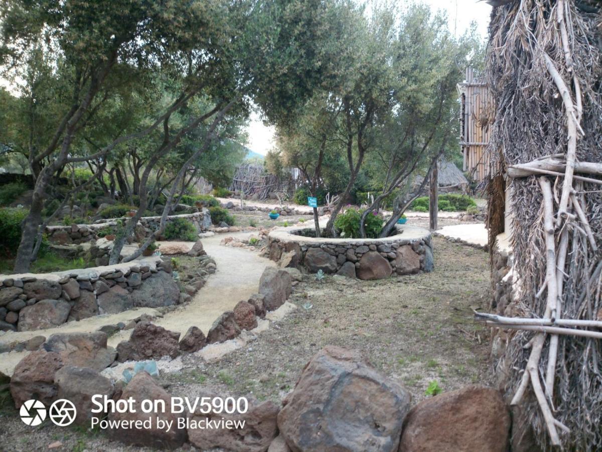 Ovile Juanne Loddo โอโรเซย ภายนอก รูปภาพ