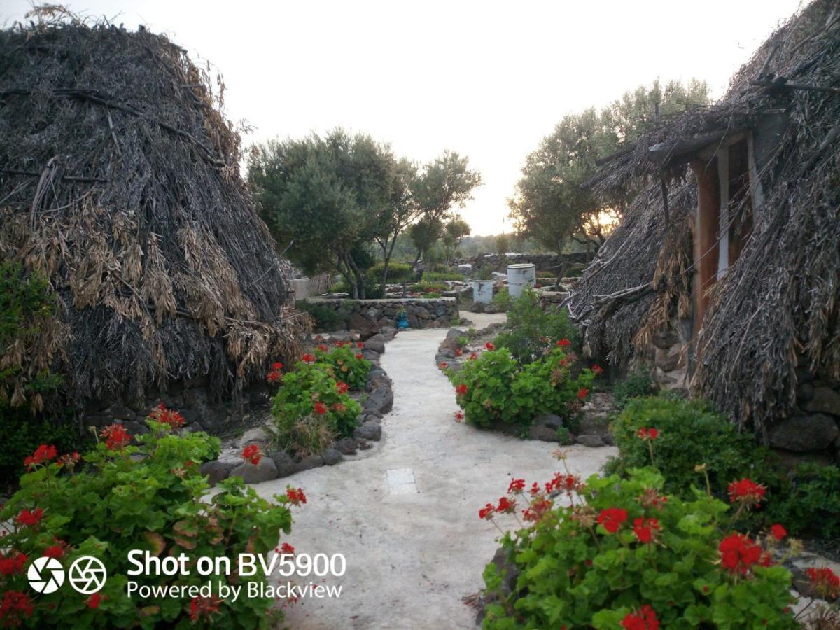 Ovile Juanne Loddo โอโรเซย ภายนอก รูปภาพ